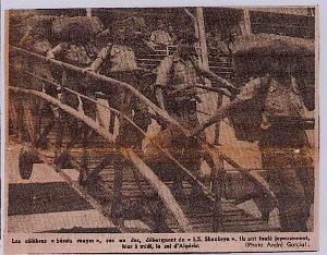 01 LADEPECHE QUOTIDIENNE D ALGERIE 14 15 AOUT 1955 -0046